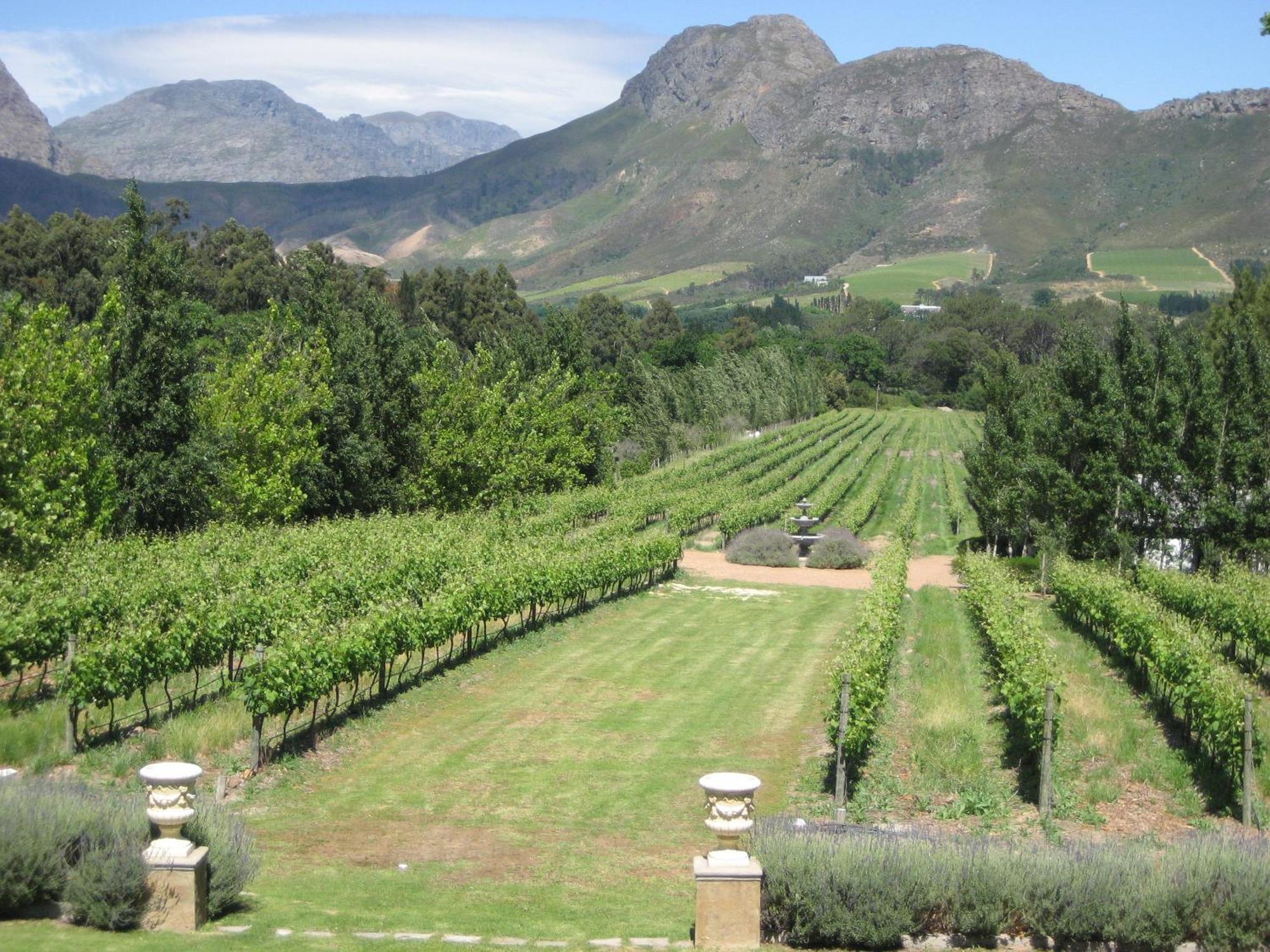 Franschhoek Rose Cottages Luaran gambar