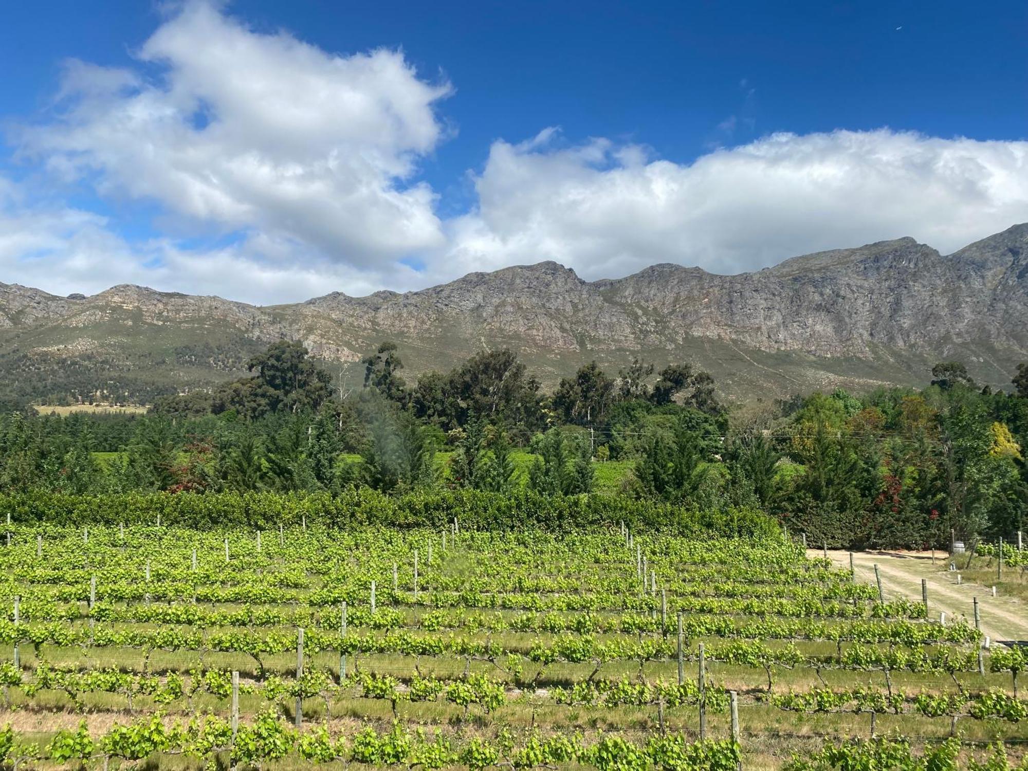 Franschhoek Rose Cottages Luaran gambar
